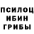 Галлюциногенные грибы MAGIC MUSHROOMS CODSk8er