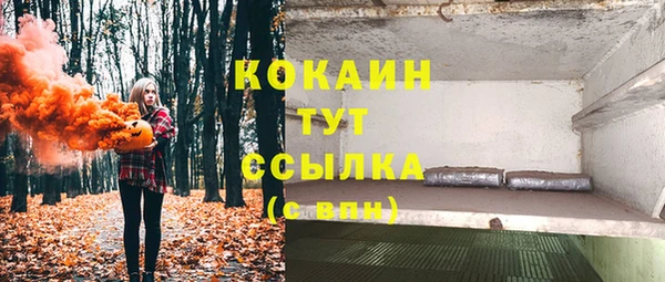 тгк Аркадак