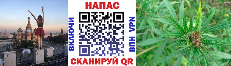 Марихуана индика Могоча