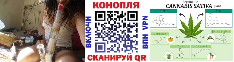 Конопля Bruce Banner Могоча